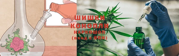 PSILOCYBIN Беломорск