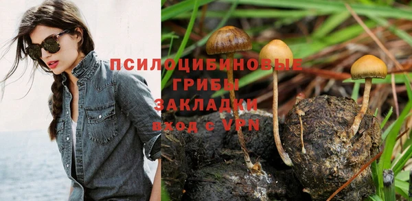 PSILOCYBIN Беломорск